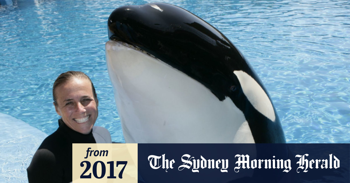 Seaworld Tilikum And Dawn